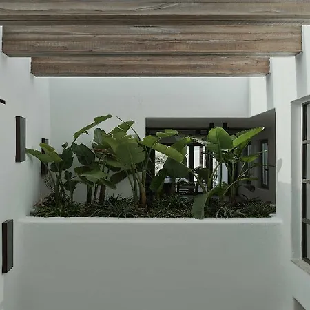 Armacaas Mykonos 5* Super Paradise Beach (Mykonos)